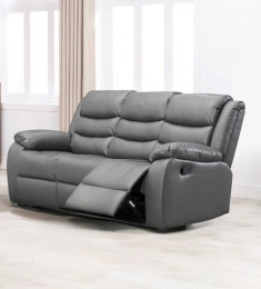 Leather Sofas